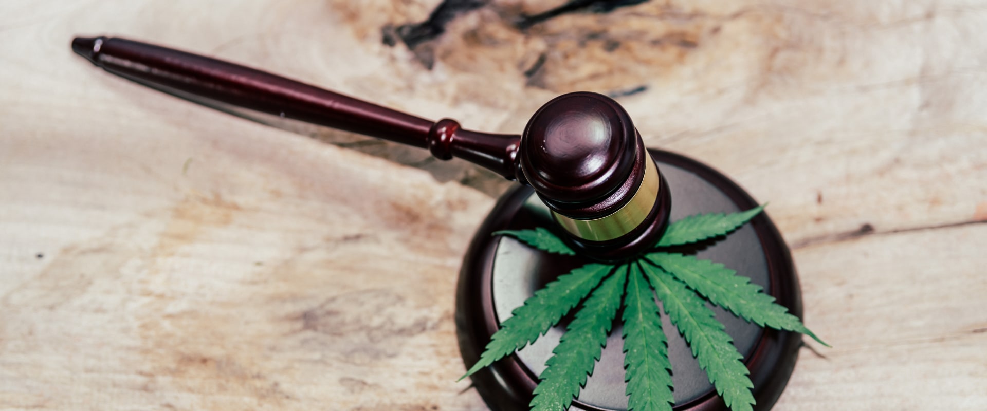 Exploring the History of Prohibition and Criminalization of Cannabis