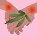 Cannabis for Pain Management: The Latest Research and Medicinal Benefits