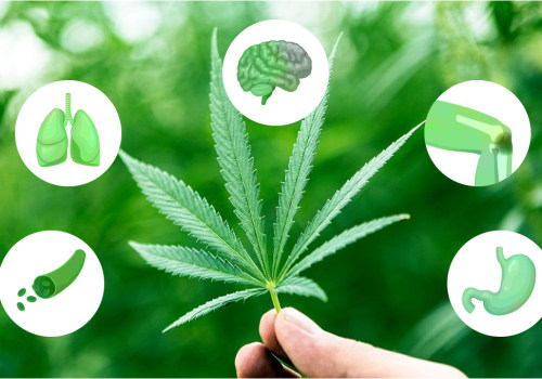 Understanding the Medicinal Benefits of Cannabis