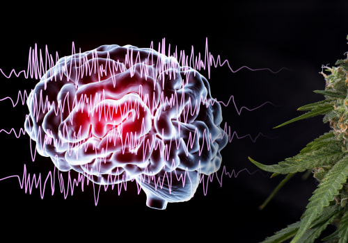 Understanding Epilepsy and Seizures: The Medicinal Benefits of Cannabis